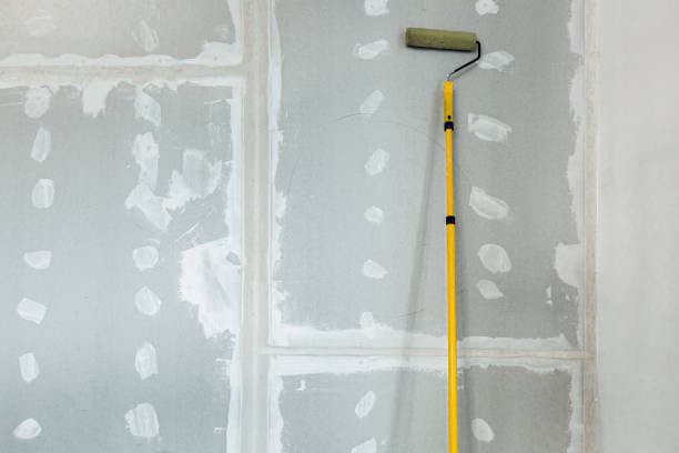 Best Mold Prevention Services  in Sanborn, NY