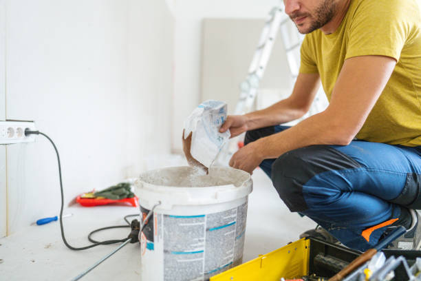 Best Industrial Mold Remediation  in Sanborn, NY