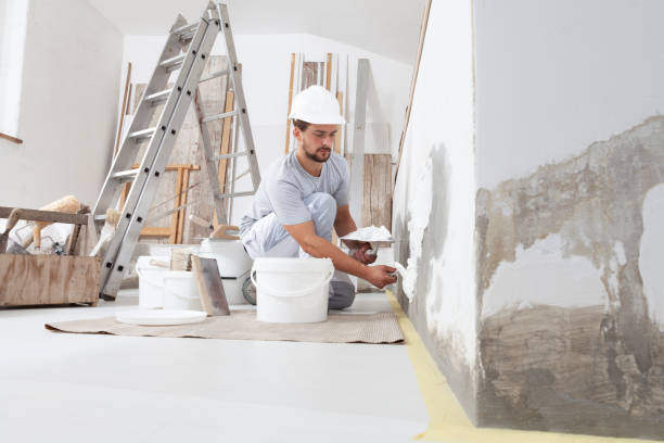 Best Emergency Mold Remediation  in Sanborn, NY