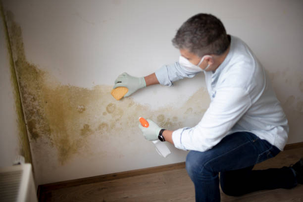 Best Indoor Air Quality Assessment  in Sanborn, NY