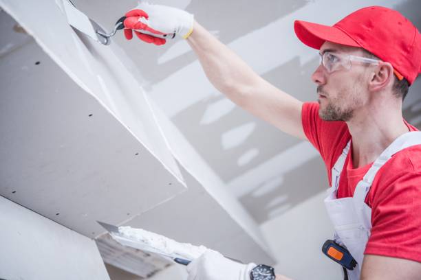 Best Black Mold Removal  in Sanborn, NY