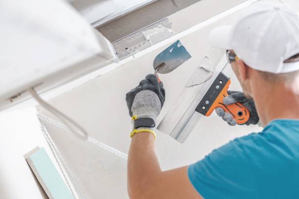 Best Attic Mold Removal  in Sanborn, NY
